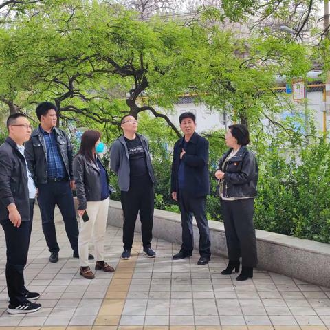 区园林局副局长刘华新一行到中大槐树街道昆仑街社区查看老旧小区绿化情况