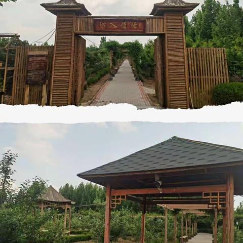 赏荷兰风情，体验采摘乐趣