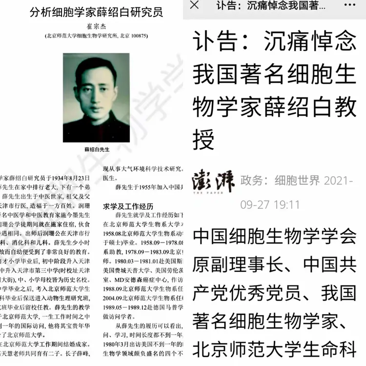 图片[2]-大舅薛绍白-华闻时空