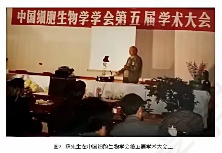 图片[7]-大舅薛绍白-华闻时空