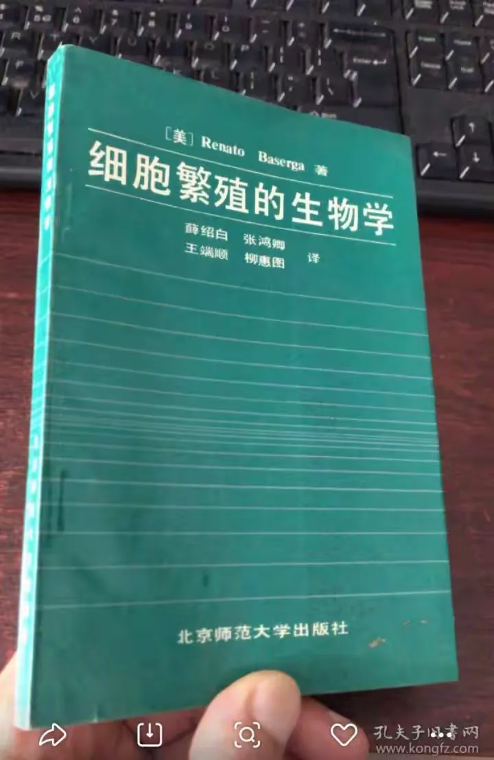 图片[9]-大舅薛绍白-华闻时空