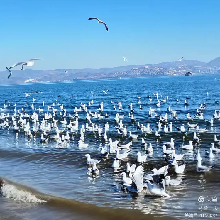 图片[18]-海外视角 博览中国《冬季到大理来看海》-华闻时空