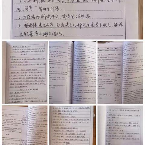 立足细节常规，严抓作业质量——沙镇中心小学作业教案检查活动