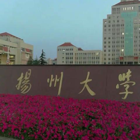 赴扬大参加国培计划学习培训