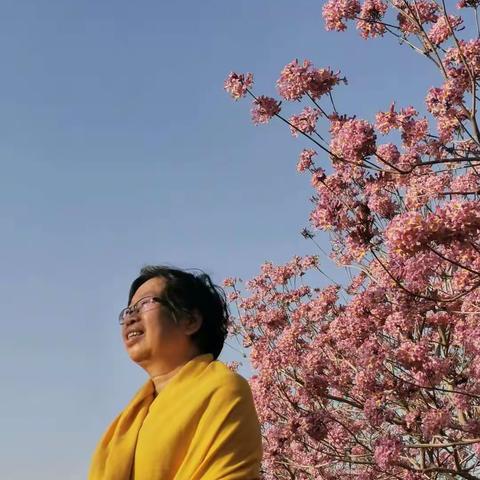 平康乐的美篇