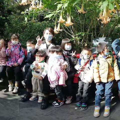 2021年秋游故事（含视频）