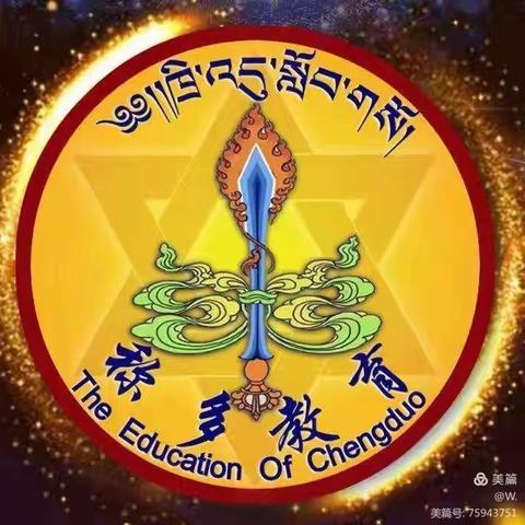 珍秦镇中心寄校（第八周）工作总结