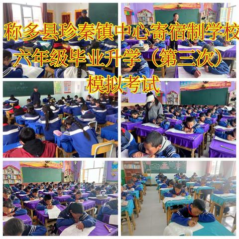 珍秦镇中心寄校（第十二周）工作总结