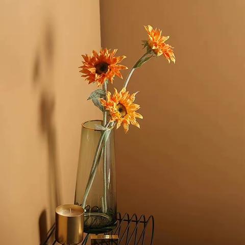 绽放🌷——荷露班10月拾光记