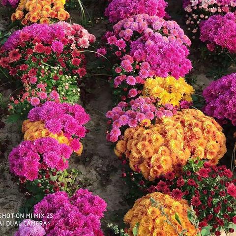 多彩童年，出彩先锋。