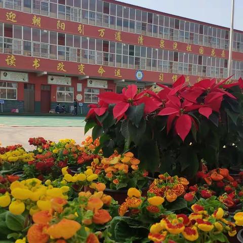 用心浇灌 先锋花开