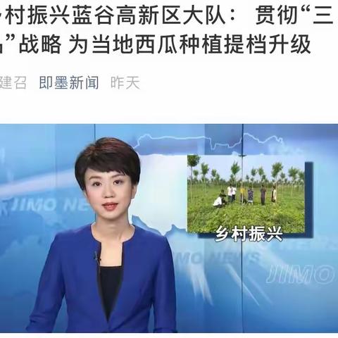 蓝谷高新区——乡村党旗分外红 瓜果飘香产业兴