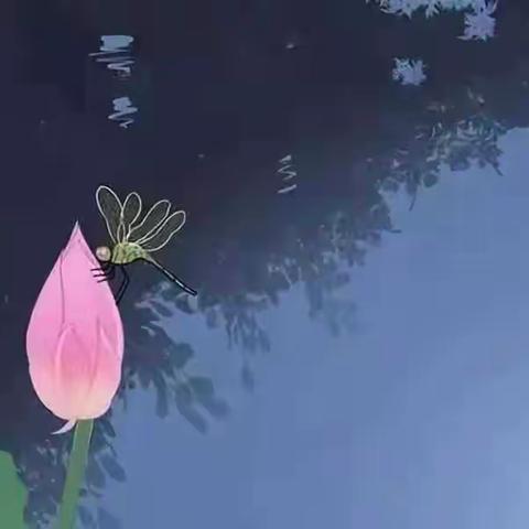 野地百合15069095319的美篇