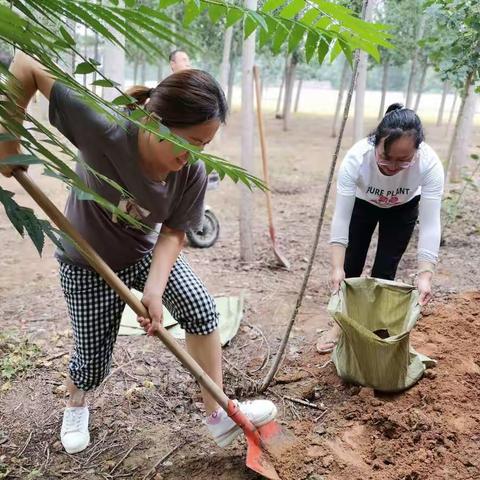 防汛演练 未雨绸缪