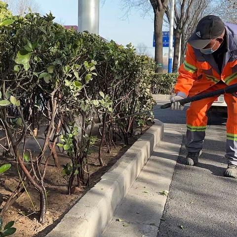 清理整治绿化带 守护绿色风景线