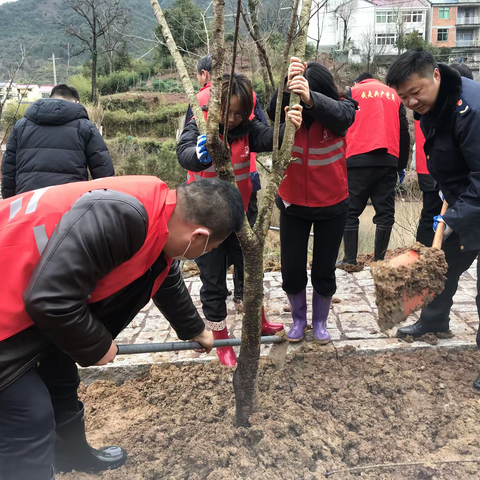 网格助力添新绿    凝心聚力谋新篇 ----横溪镇开展网格志愿植树活动