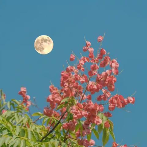 秋风拂书案，蓄势谱芳华