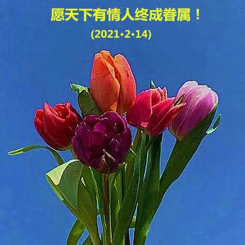 ‘情人节’有感：