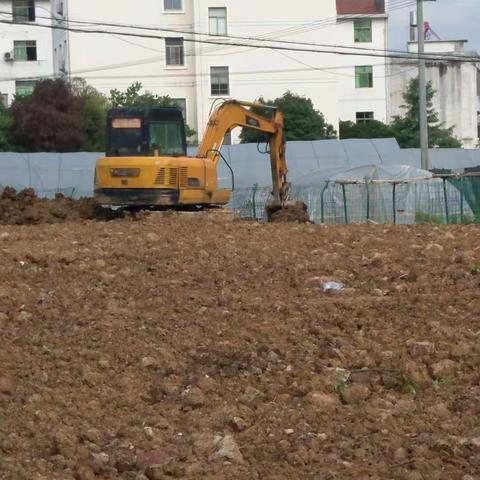 雪峰路（商城大道－杭长线）提升改造绿化工程每日一报（副本）