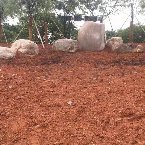 雪峰路（商城大道－杭长线）提升改造绿化工程每日一报