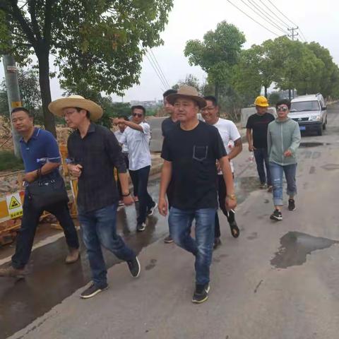 雪峰路（商城大道－杭长线）提升改造绿化工程每日一报