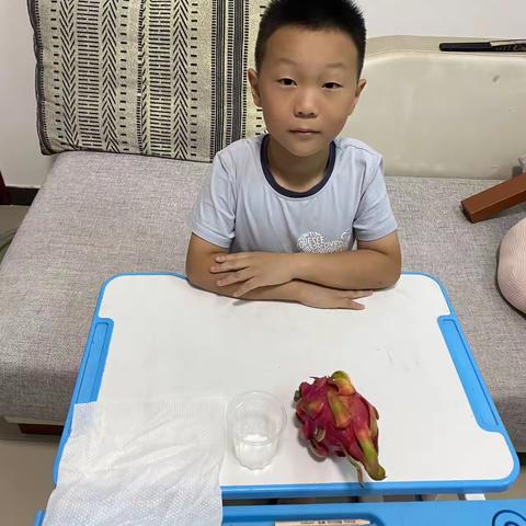 植物染料剂