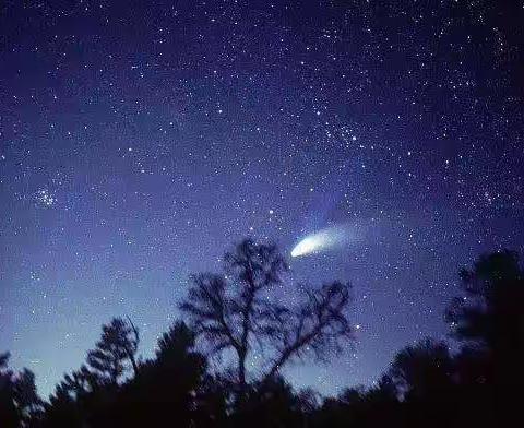 我们的诗，我们的梦