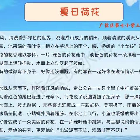 蝉鸣声声，夏日立长荷叶肩