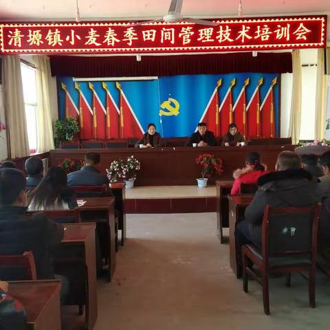 不负春日好时光，技术培训紧跟上