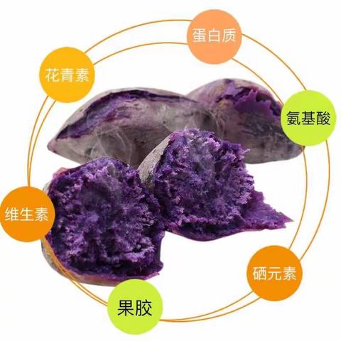 越南进口紫薯 🎉开始执行活动、现在下单只需 30元💰尝鲜价 回头客超多的一款产品  真正越南进口
