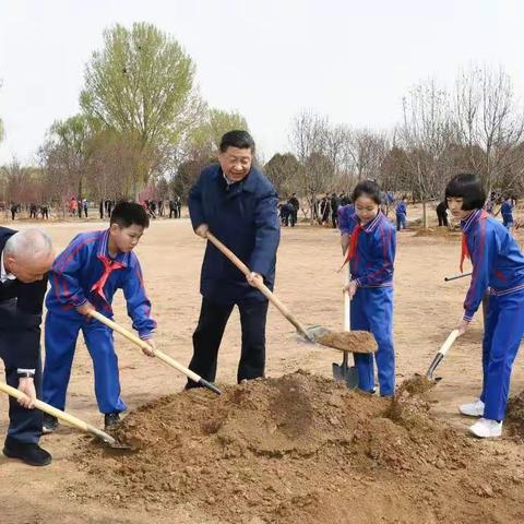 植树造林，反哺地球