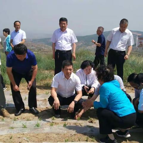 王卫军副主席在武乡调研