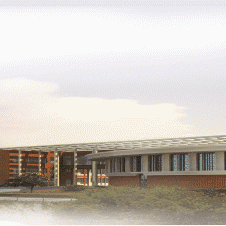 一（5）班劳动实践活动纪实