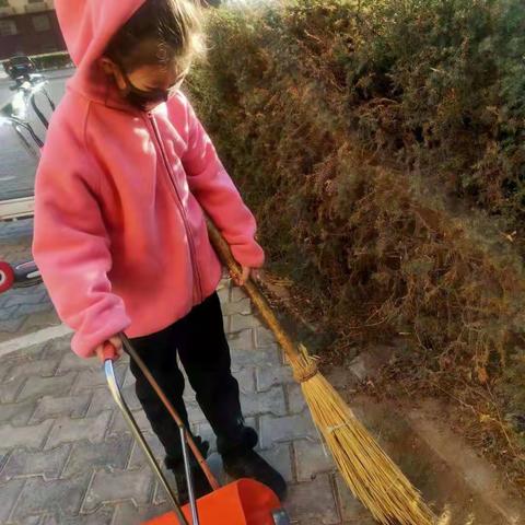 热爱劳动、尊重劳动——薛八小一（5）班假期综合实践活动