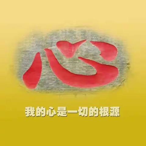 民盟金家庄支部开通线上公益服务站