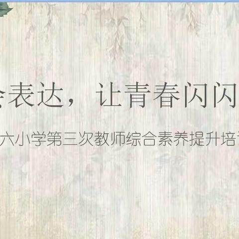 让青春在奋斗中闪闪发光——第六小学第三次教师综合素养提升培训