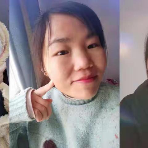 阳光森林的故事——糖糖