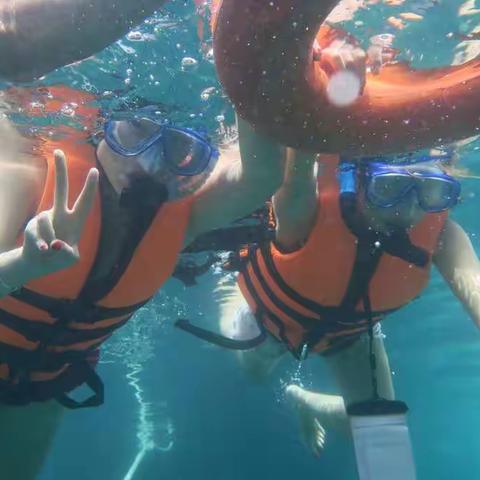 阳光森林的故事——瑾萱