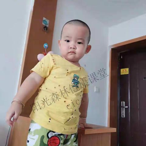 阳光森林的故事——z艳分享牙痛