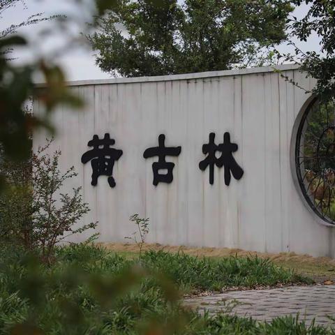 黄古林的秋