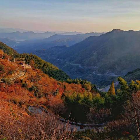 秋高气爽，我们去四明山吧。