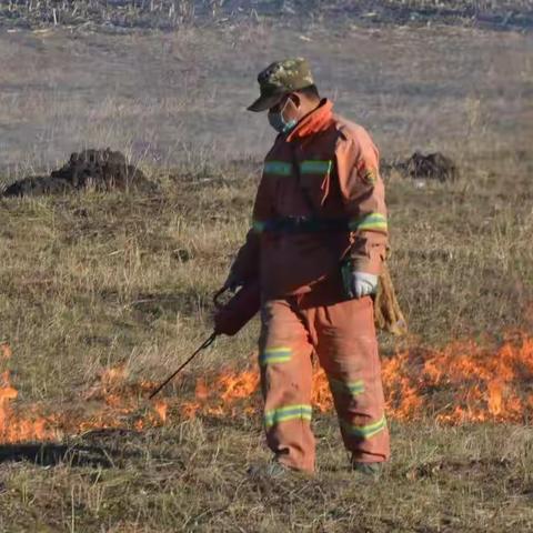 绰尔森工公司应急事务处组织开展秋季重点路段防火隔离带点烧工作