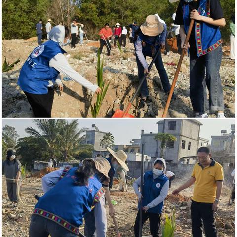 团三才镇委开展“携手绿化海南，共建生态自贸港”主题植树志愿活动