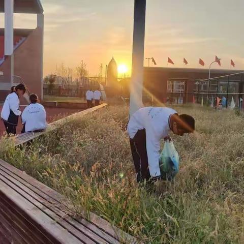 践行劳动教育，共建美丽校园