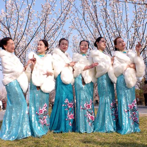 《三八女神节免费玩.打卡淮阳区500亩三A景区——梅园.邀你共赴春天之约.绽放巾帼芳华》