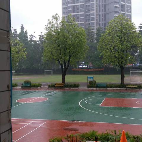 雨中的激情步伐