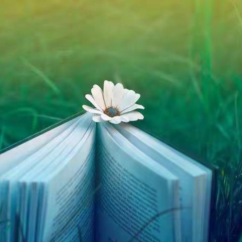 以研促教，“语”你同行