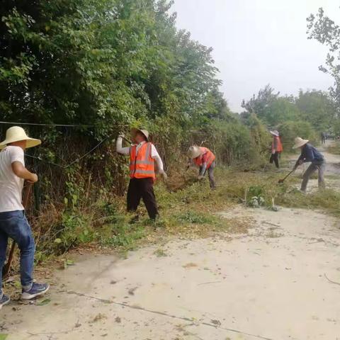 迎国庆共建美丽乡村