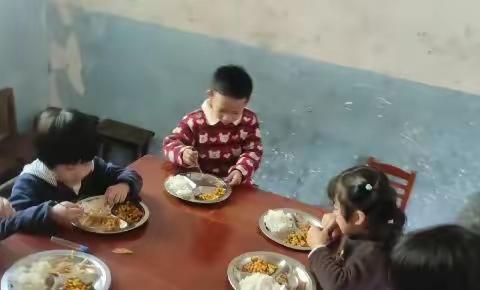 金孔雀幼儿园朵朵班每周精彩瞬间