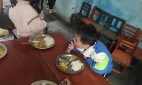 金孔雀幼儿园朵朵班每周精彩瞬间